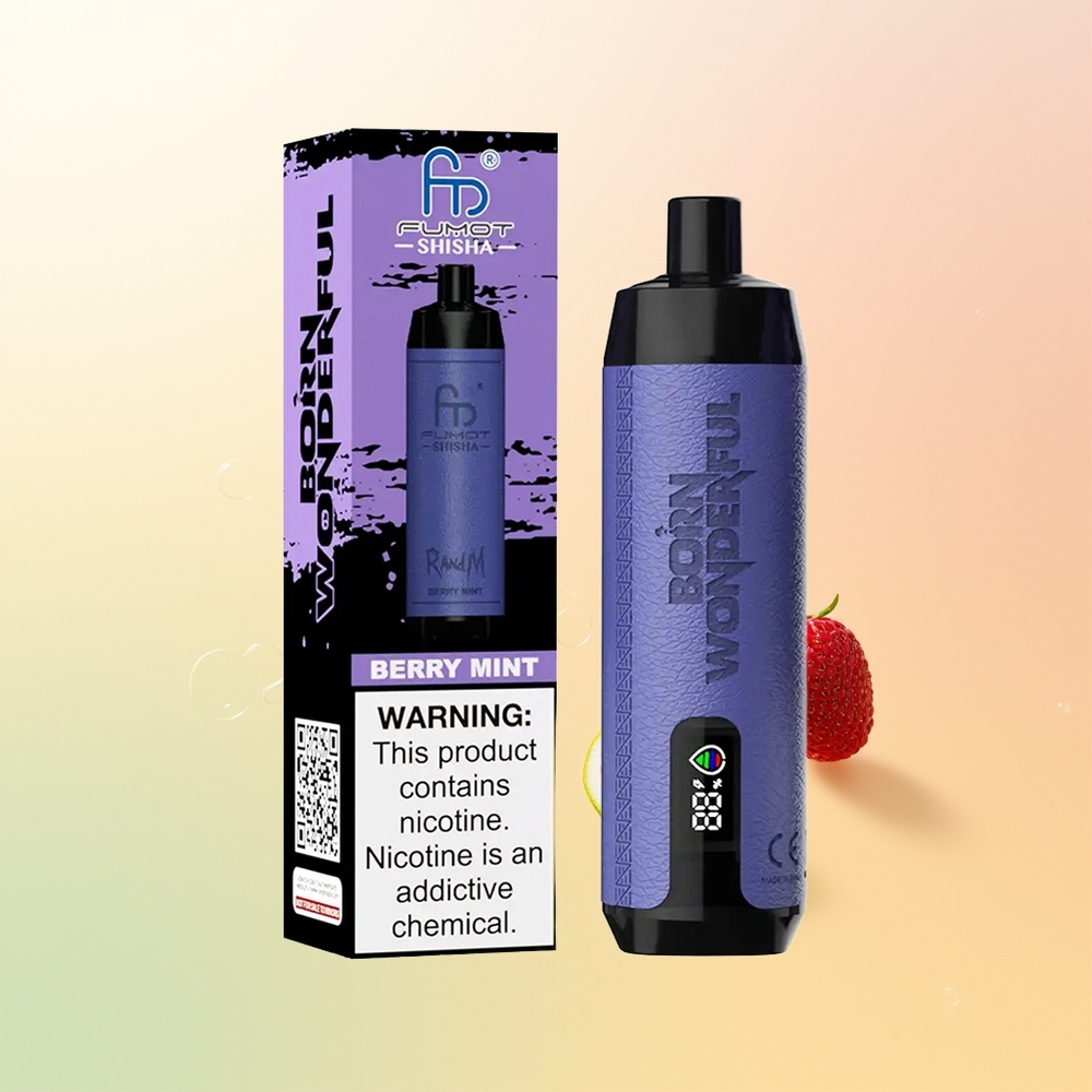 RandM Fumot Shisha 10000 Puffs Finland Tukku Marja-Minttu LED-Indikaattori 18ml 850mAh Type-C 06ohm Mesh 05 Nikotiini