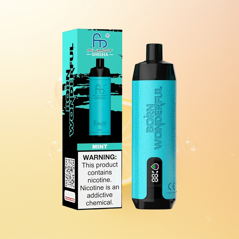 RandM Fumot Shisha 10000 Puffs Finland Tukku Mint LED 18ml 850mAh Type-C 05 Nikotiini 06ohm Mesh