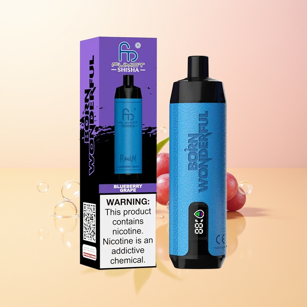 RandM Fumot Shisha 10000 Puffs Finland Tukku Mustikka Viinirypäle LED-Indikaattori 18ml 850mAh 06ohm Type-C 05 Nikotiini