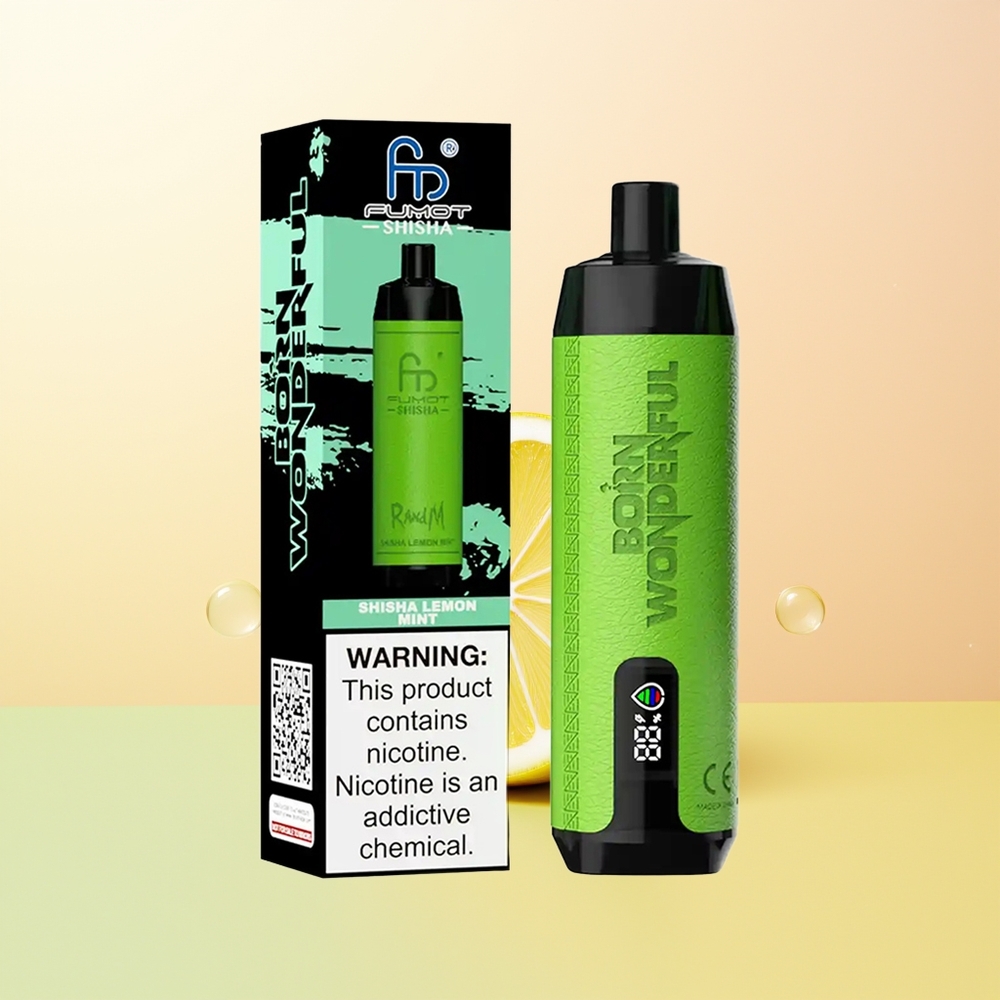 RandM Fumot Shisha 10000 Puffs Finland Tukku Sitruuna Mint LED Näyttö 18ml 850 mAh 06ohm Mesh Type-C 05 Nikotiini