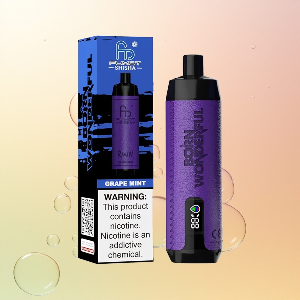 RandM Fumot Shisha 10000 Puffs Finland Tukku Viiniminttu LED 18ml Type-C 05 Nikotiini