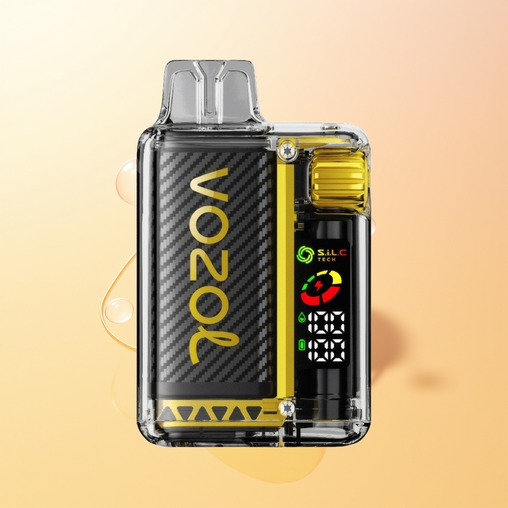 VOZOL Vista 20000 Tuhkaa Finland Tukku Mango-Jää Uudelleenladattava OLED-Näyttö 650mAh 2 MCU-Siru SiLC Tech Dual Mesh Käämit 65 PCR